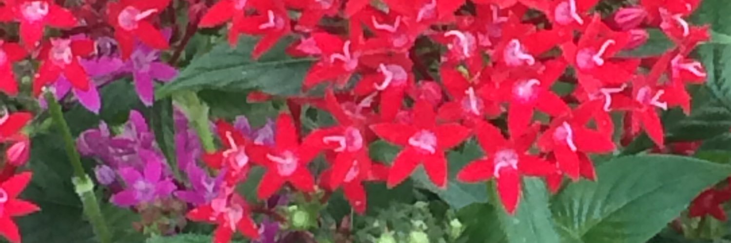 infocusamy's profile banner image