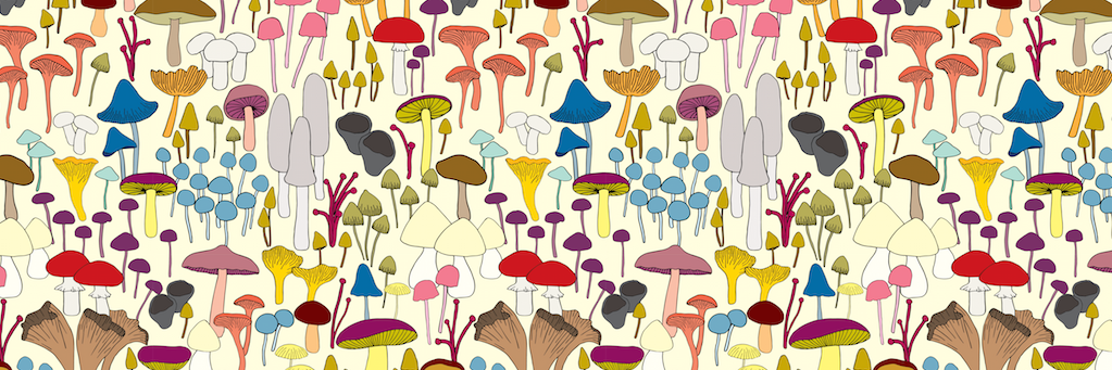 WCabinStudio's profile banner image
