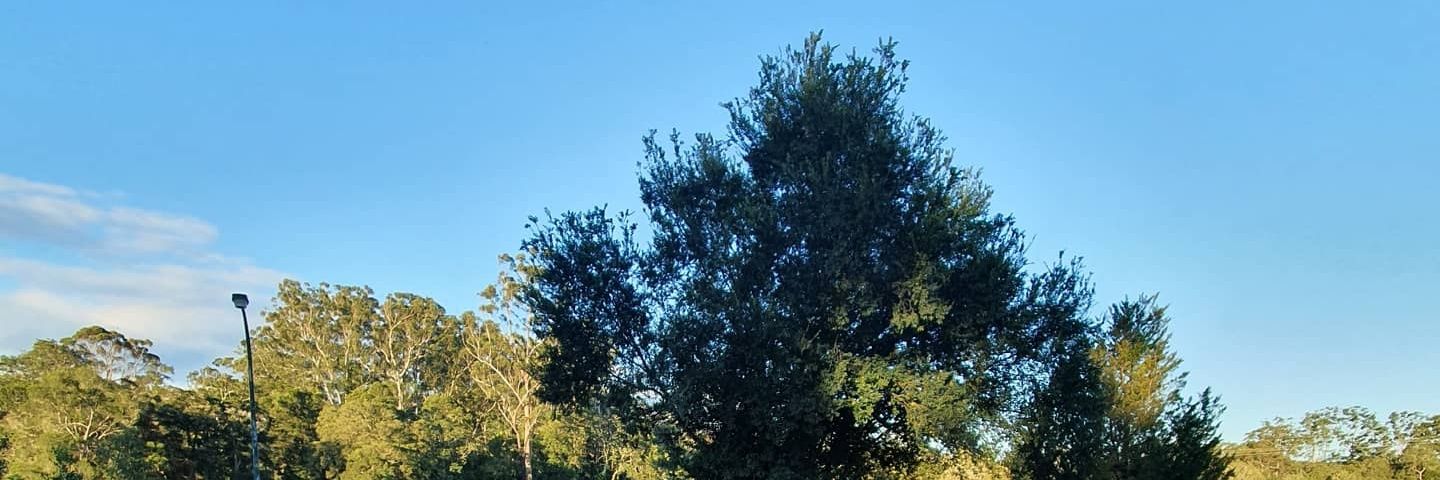 blessiejanolo's profile banner image