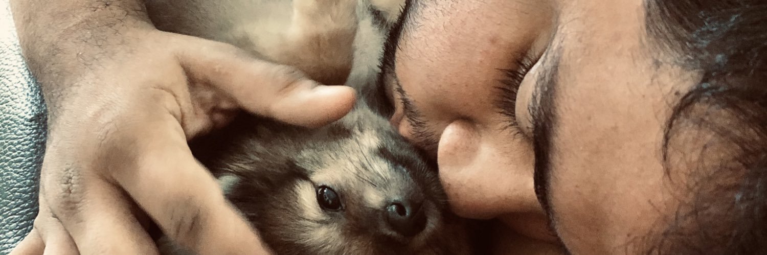 Daniela_DHL's profile banner image