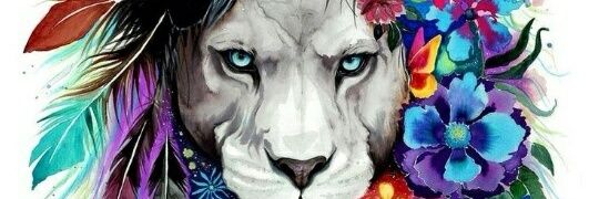 Edward Akinla banner