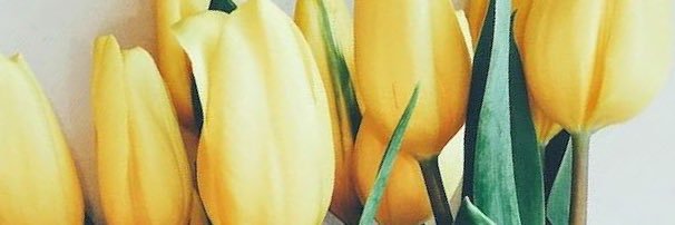 Precious_Mosh's profile banner image