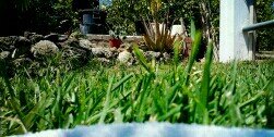 Mariavr27's profile banner image