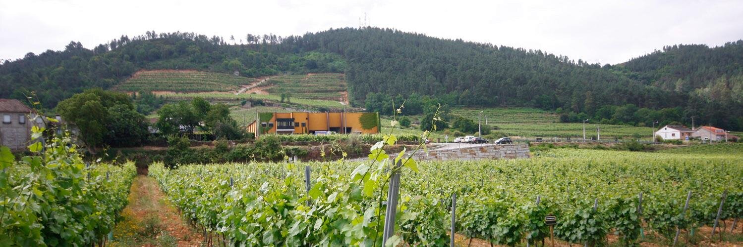 BodegasGRM's profile banner image