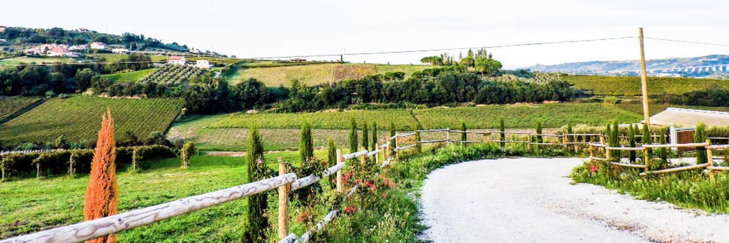 Agricola Martelli (aziendamartelli) Twitter
