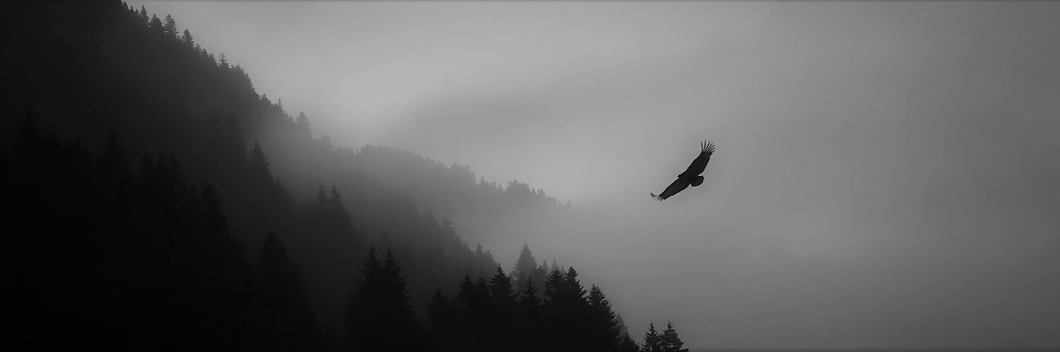 Zixahs's profile banner image