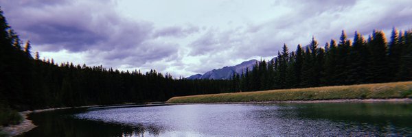 Sophie Profile Banner