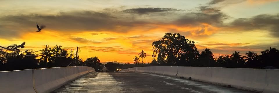 nevintvm's profile banner image