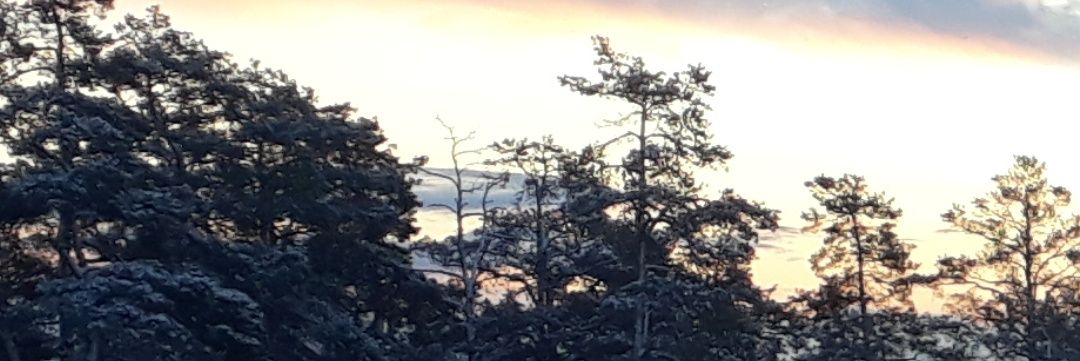 eric_escamoso's profile banner image
