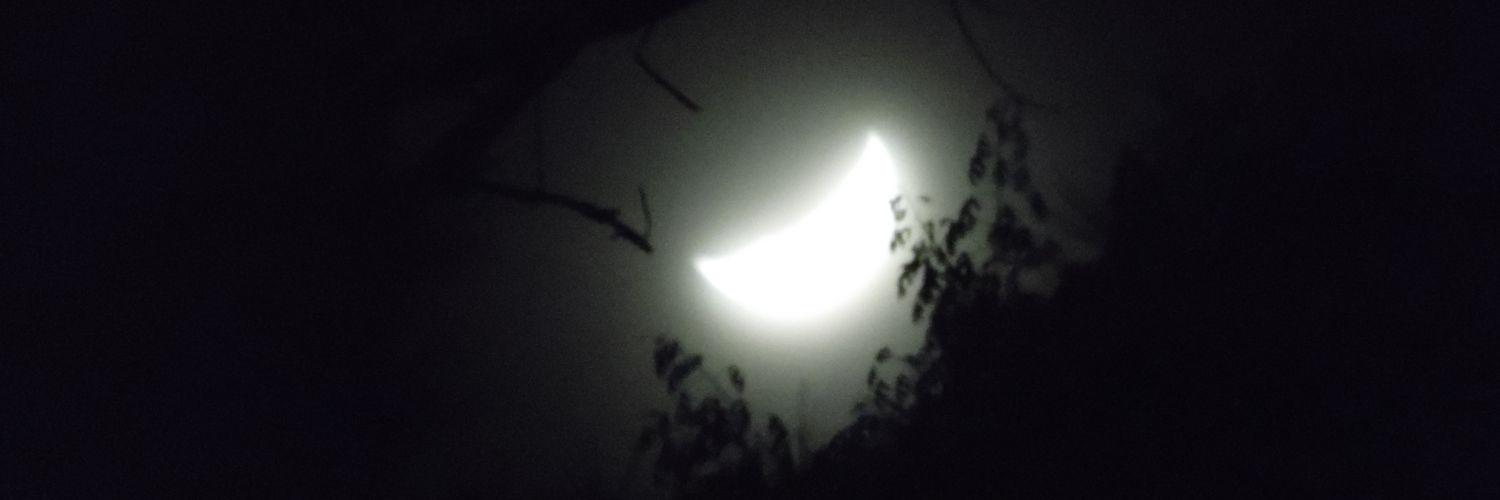 MadisonJade31's profile banner image