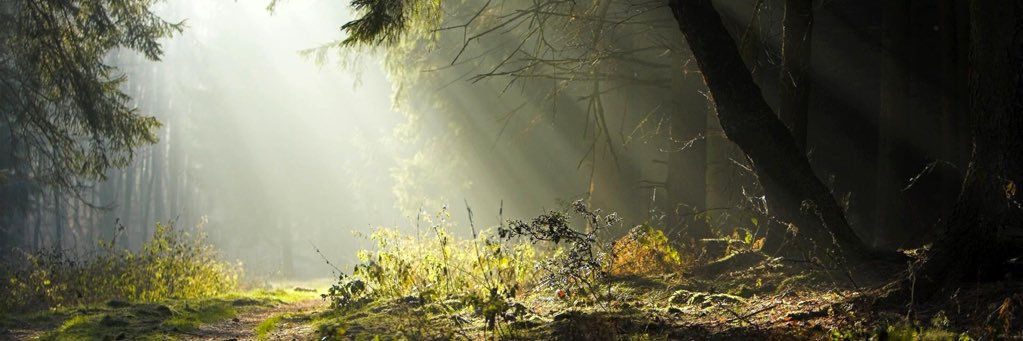 atomic_79's profile banner image