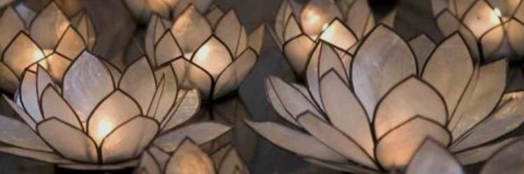 ricearonib's profile banner image