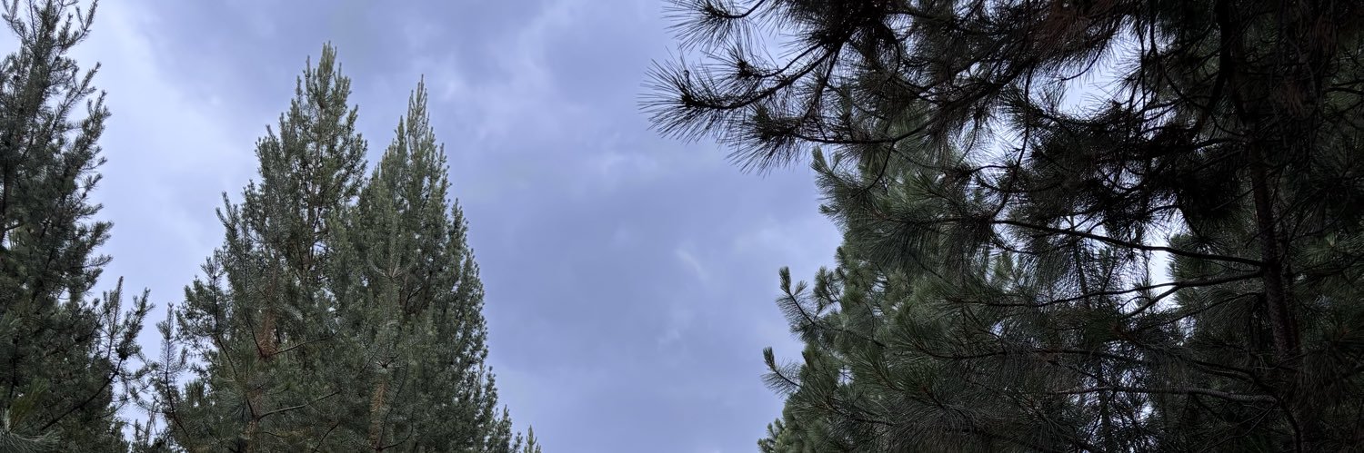 IvanaLalia's profile banner image