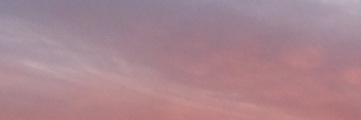 Flavia3060's profile banner image