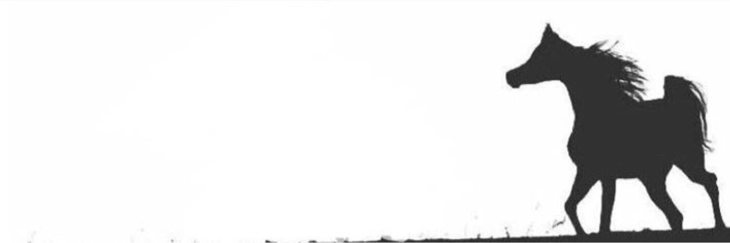is5i_'s profile banner image