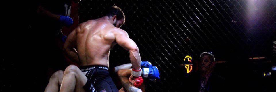 Chipcolemma's profile banner image