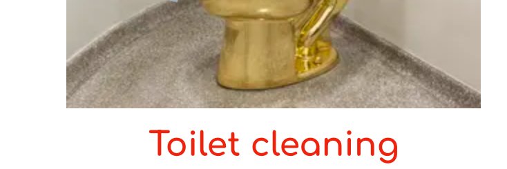 ROBLOXToilets's profile banner image