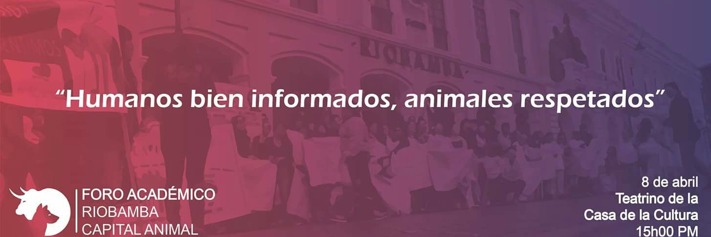 RioCapitalAnima's profile banner image