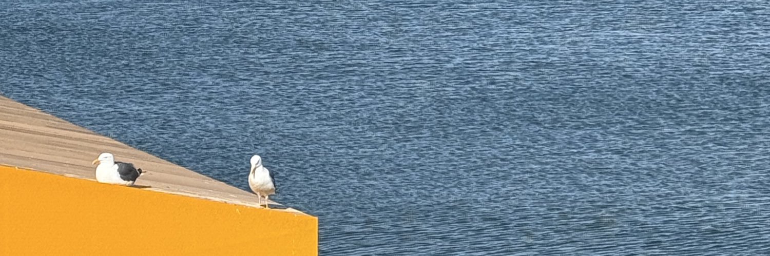 tylerdiaz's profile banner image