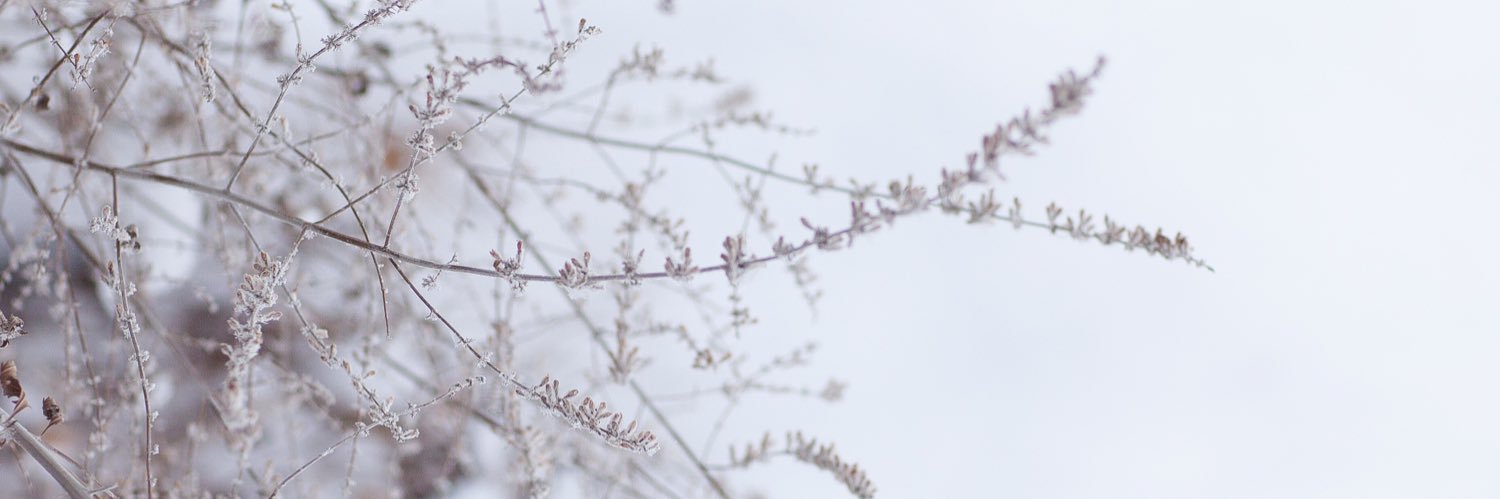 Lexikonin's profile banner image