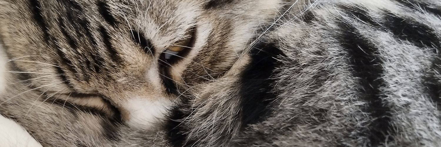 pepapwa's profile banner image