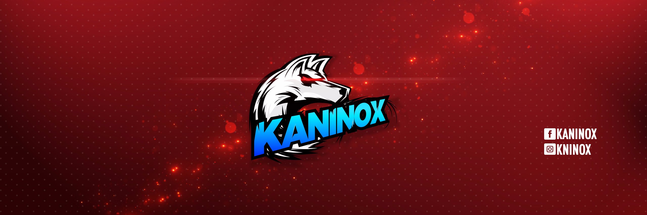 kaninox's profile banner image
