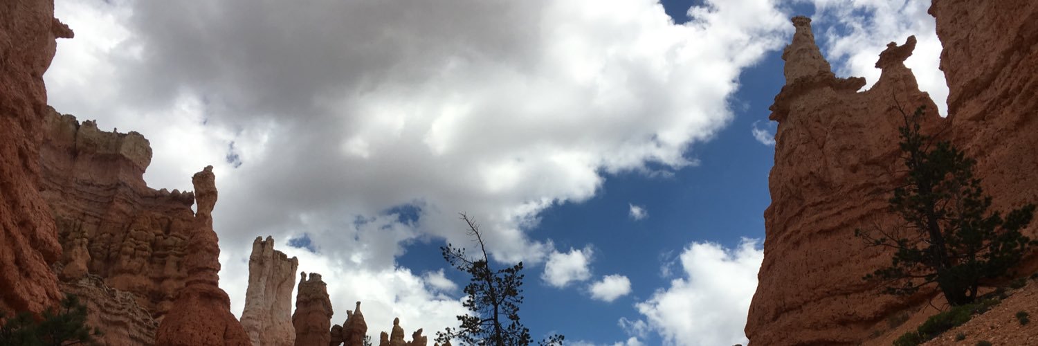 EvansWilson11's profile banner image
