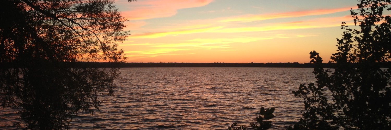 Michelle Rees banner