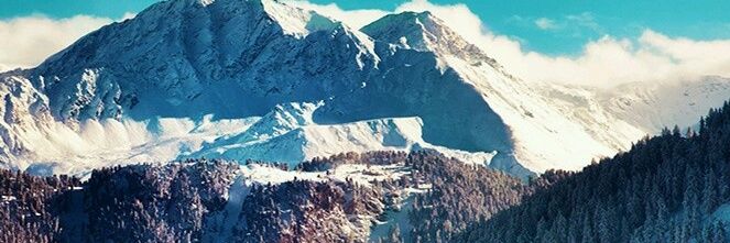 Galindo banner