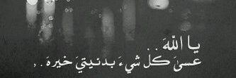 alshahree72's profile banner image