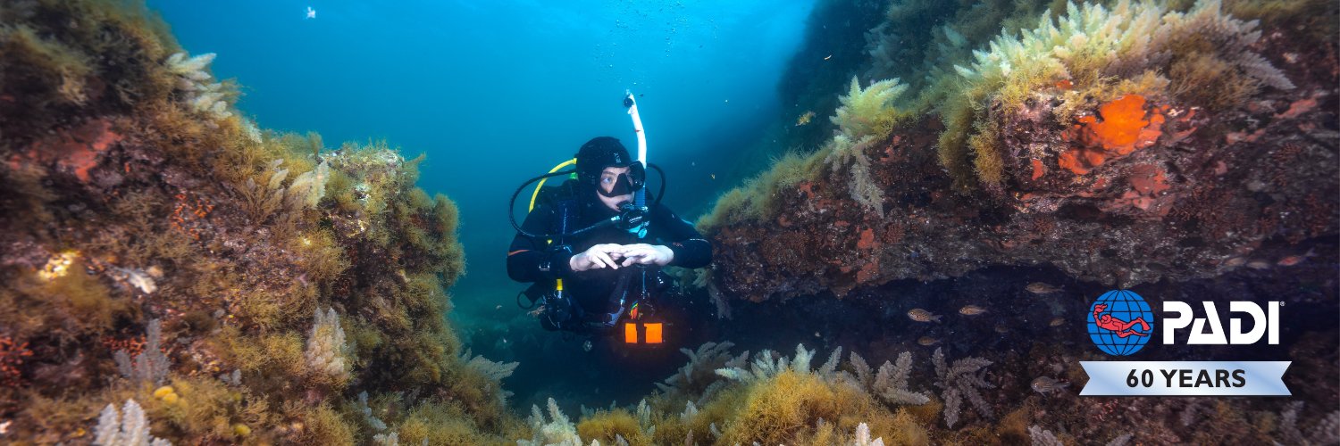 PADI banner