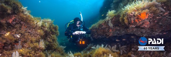 PADI Profile Banner