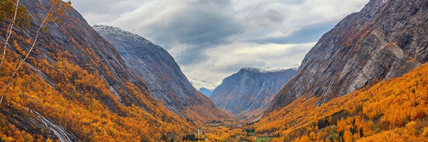 Jonathan Jesneck banner