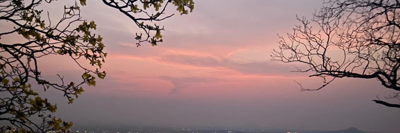 loreschupmann's profile banner image