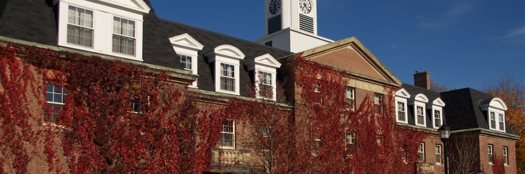 LadyBeaverbrook's profile banner image
