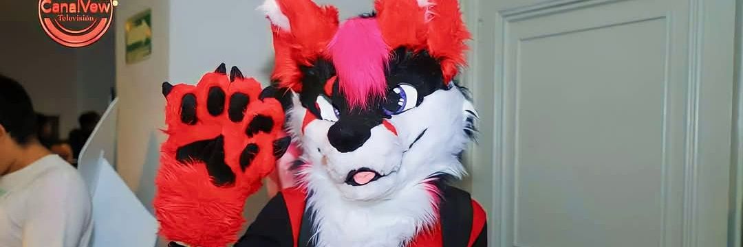 CashTheFox banner