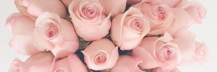 Monet__J's profile banner image