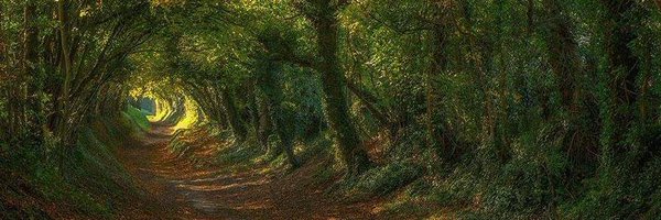 vanriper Profile Banner