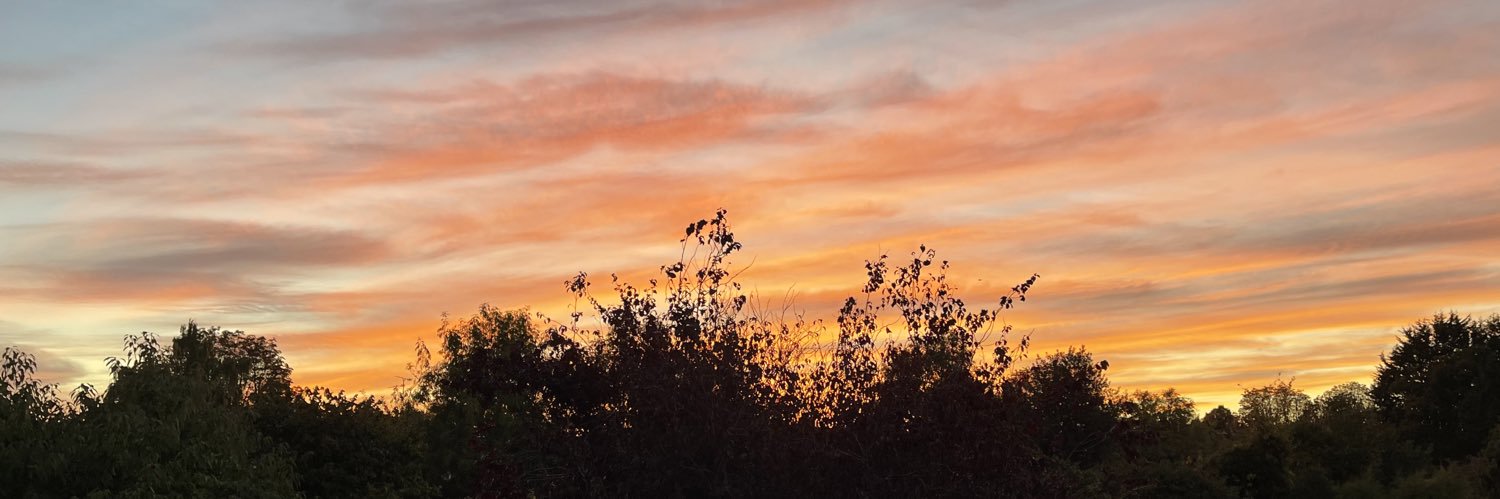 millie_thompo's profile banner image
