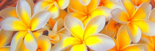 じゃりんこ banner