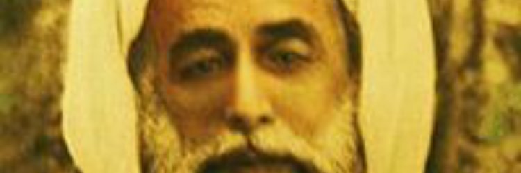 ahmedtarran's profile banner image