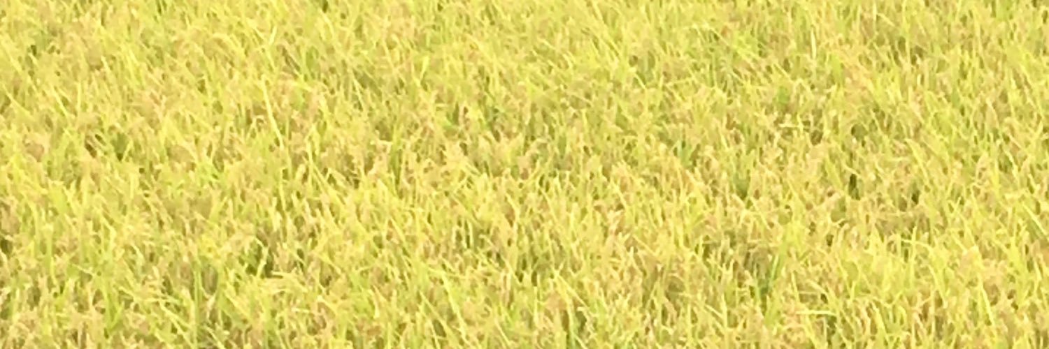 Teruko53231954's profile banner image