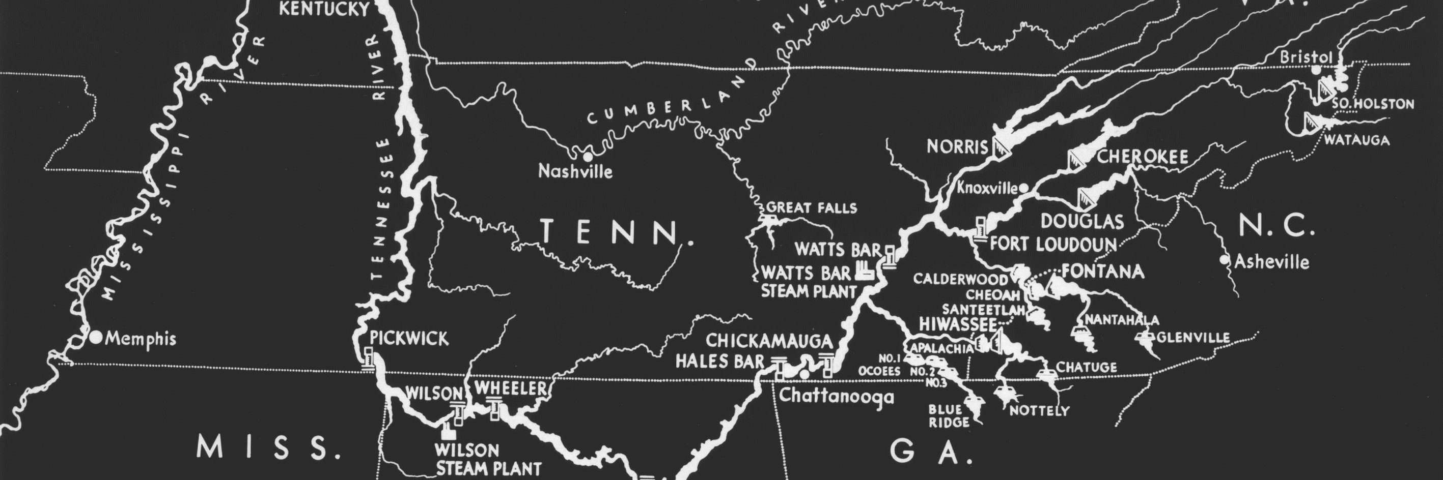 Rebecca Wright banner