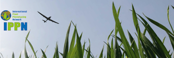 IPPNImagingWG Profile Banner