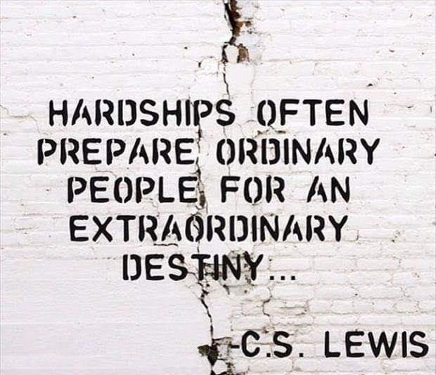 Pamela Millsaps banner