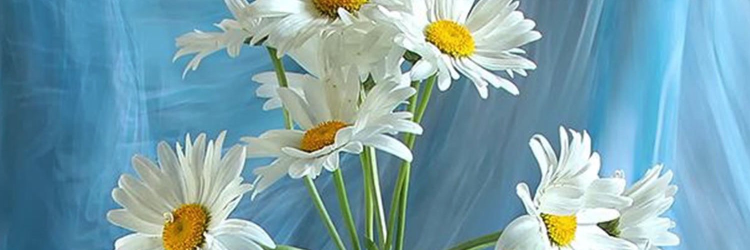 aelbadry's profile banner image