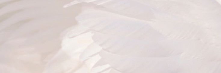 katiavelez97's profile banner image
