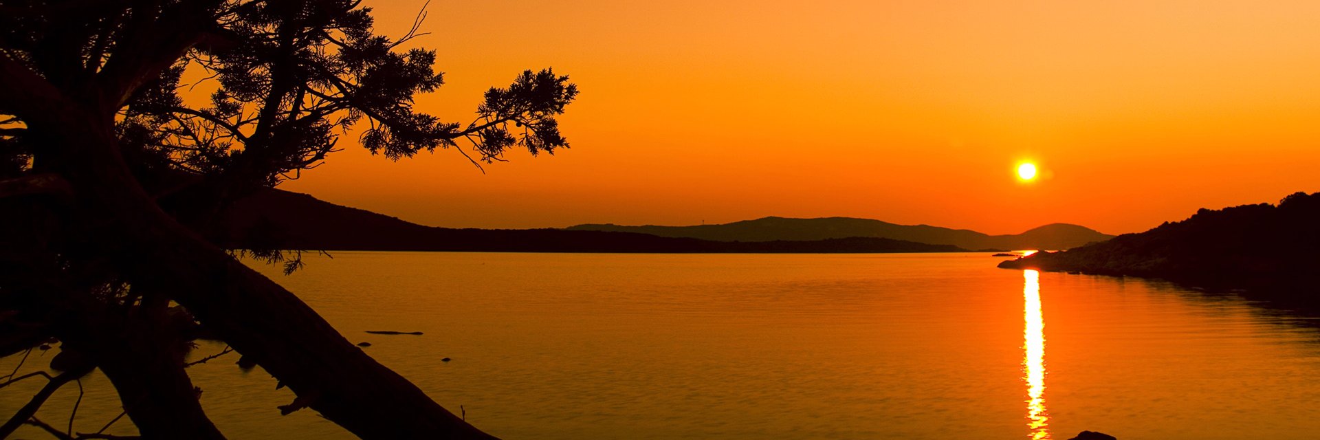 Hartmut Zimmer banner