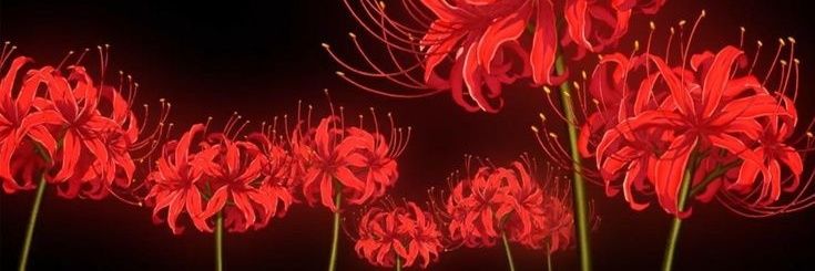 abitofamanda's profile banner image