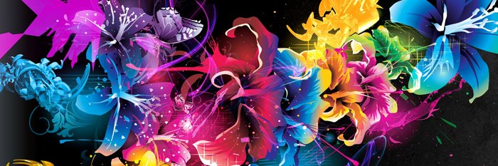 Chrisann Widtfeldt banner